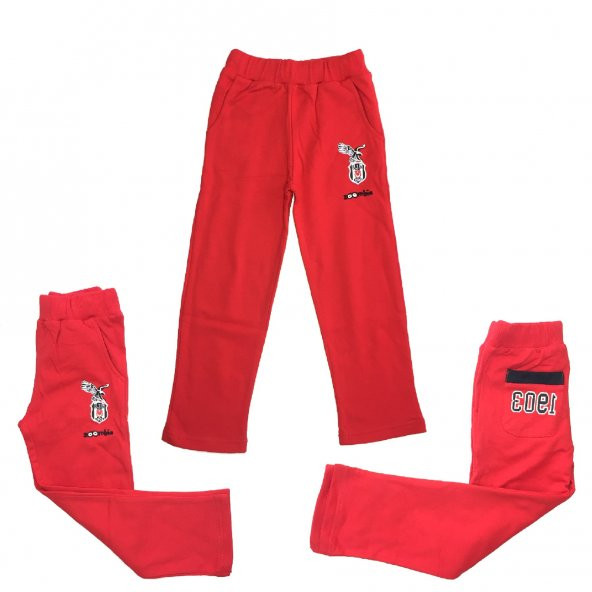 Beşiktaş Lisanslı Çocuk Eşofman Altı Bjk-1903-EA-009 - 2