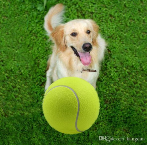 Tenis Topu Köpek Oyuncağı 1 Adet - 2