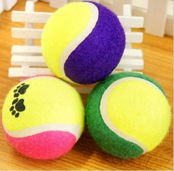 Tenis Topu Köpek Oyuncağı 1 Adet - 3