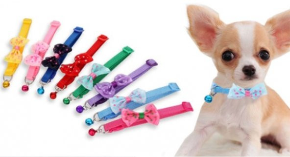 Papyon Tasarımlı Evcil Hayvan Kedi Köpek Tasması - 2