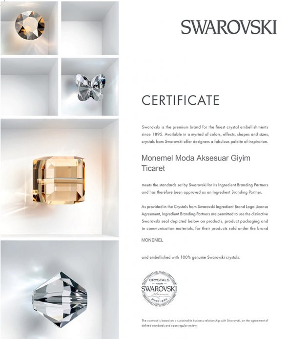 Monemel Swarovski Mavi Crystal kalp küpe (Altın Kaplama) - 2