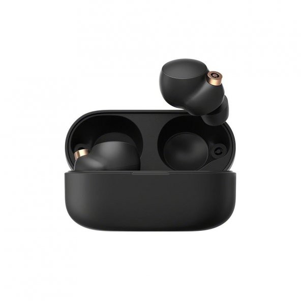 Sony WF-1000XM4 Gürültü Engelleme Özellikli Kablosuz Kulak İçi Kulaklık