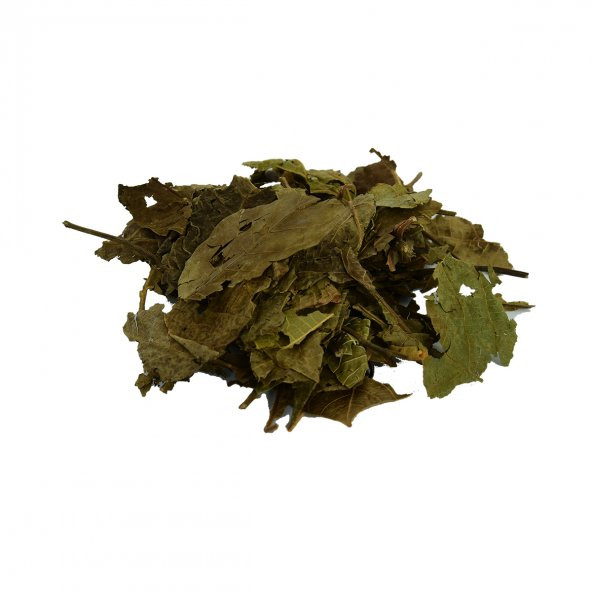 LokmanAVM Ceviz Yaprağı Doğal 100 Gr Paket - 4