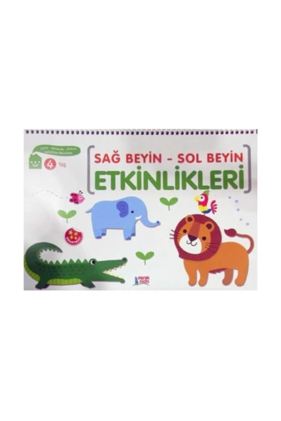 Minik Ada Sağ Beyin Sol Beyin Etkinlikleri 4 Yaş