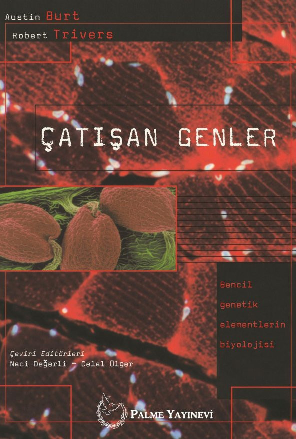 ÇATIŞAN GENLER - 2