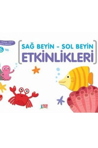 Minik Ada Sağ Beyin Sol Beyin Etkinlikleri 6 Yaş