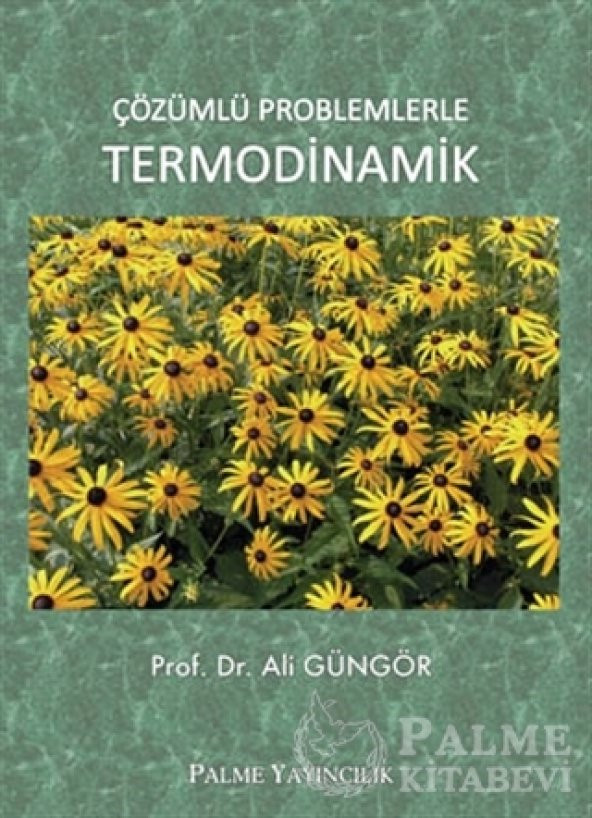 ÇÖZÜMLÜ PROBLEMLERLE TERMODİNAMİK - PALME