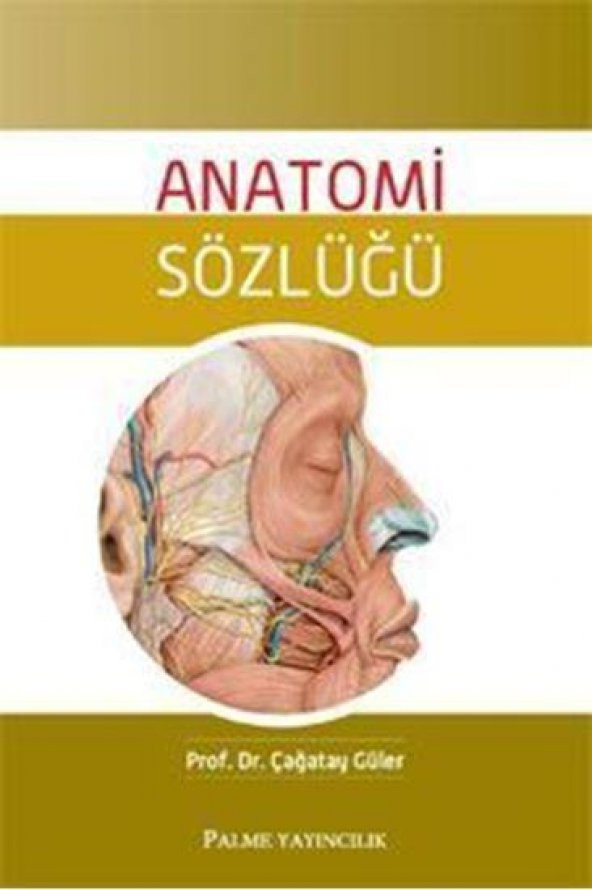 ANATOMİ SÖZLÜĞÜ - PALME