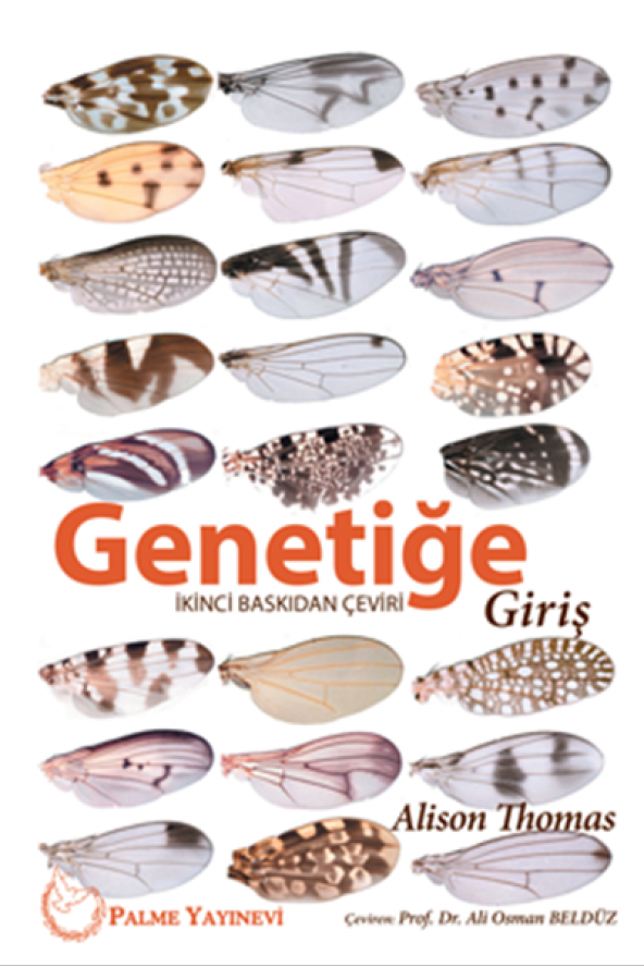 GENETİĞE GİRİŞ - PALME - 2