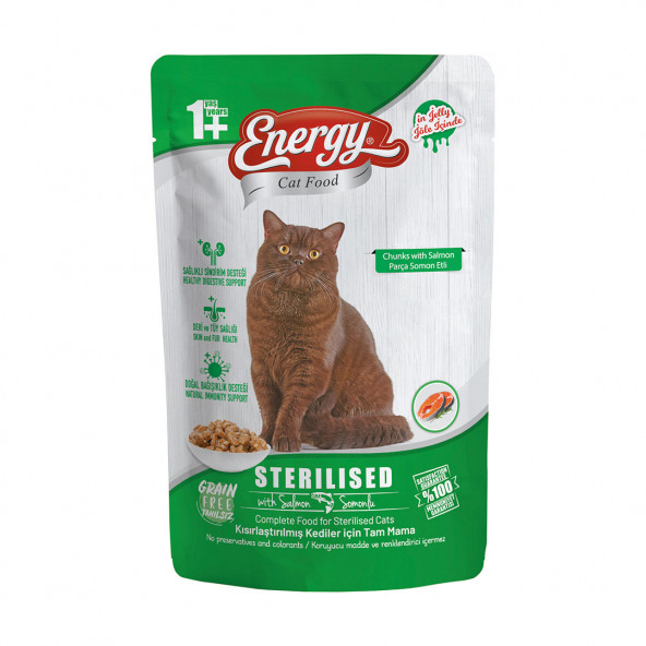 Energy 85 g Somonlu Kısırlaştırılmış Yaş Pouch Kedi Maması