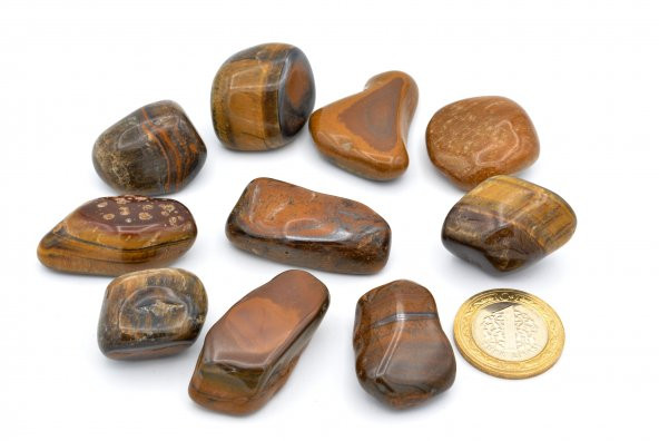 HAKİKİ TAMBURLU DOĞAL KAPLAN GÖZÜ KAYA PARÇASI 1.KALİTE 002 - 2