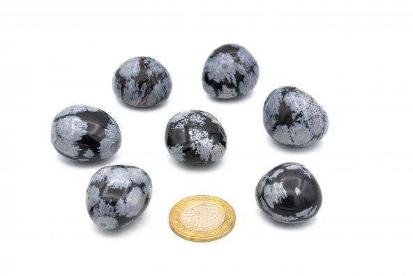 HAKİKİ TAMBURLU DOĞAL KAR TANESİ OBSİDYEN KAYA PARÇASI 1.KALİTE 002 - 2