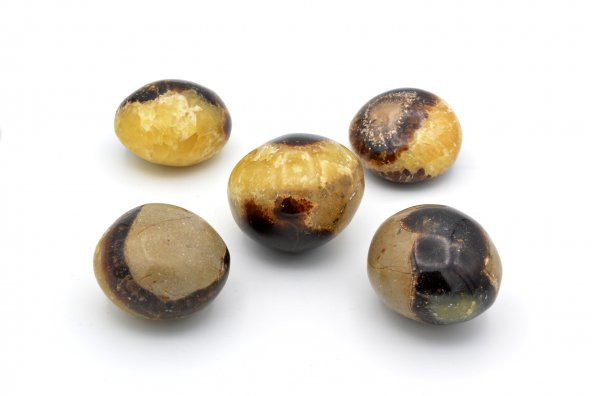 HAKİKİ TAMBURLU DOĞAL SEPTERYAN TAŞI KAYA PARÇASI EJDERHA YUMURTASI - 2