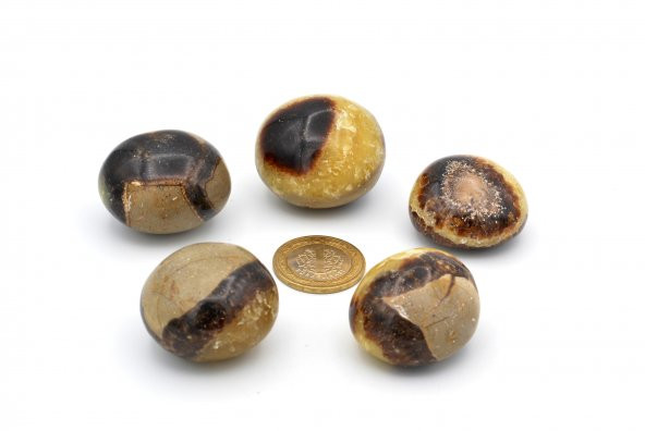 HAKİKİ TAMBURLU DOĞAL SEPTERYAN TAŞI KAYA PARÇASI EJDERHA YUMURTASI - 3