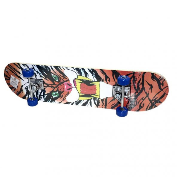 Kaykay Skateboard - 5