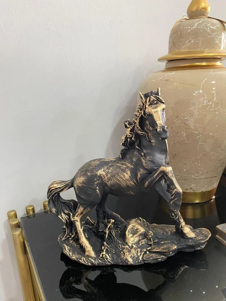 Dekoratif At Biblo - 9