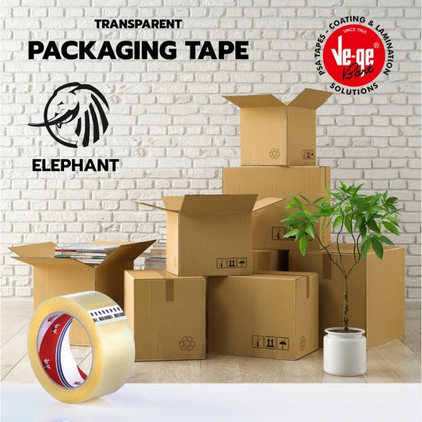 Vege Fil Koli Bandı 45x100 Mm Şeffaf 6 Lı - Resim 6