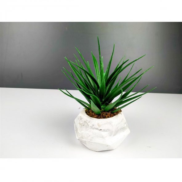 Çılgın Çiçekçilik Mermer Desen Alçı Aloe Vera