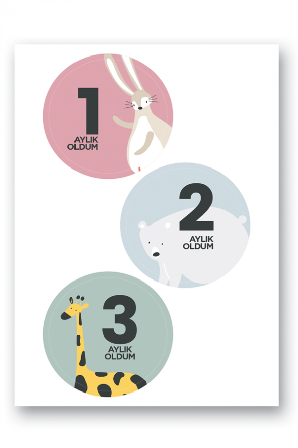 Lecolor Bebek Sticker Seti - 2