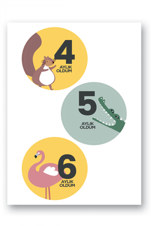 Lecolor Bebek Sticker Seti - 3