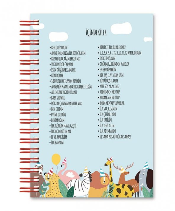 Bebek Anı Defteri ve Hamile Albümü Mavi + Sticker - 8