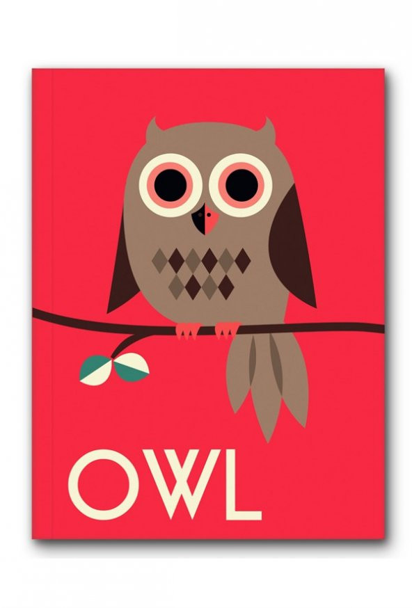 Pretty Mini Defter Çizgili Baykuş