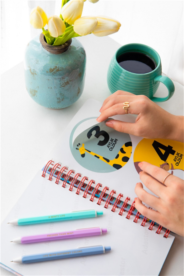 Bebek Anı Defteri ve Hamile Albümü Erkek + Sticker - 5