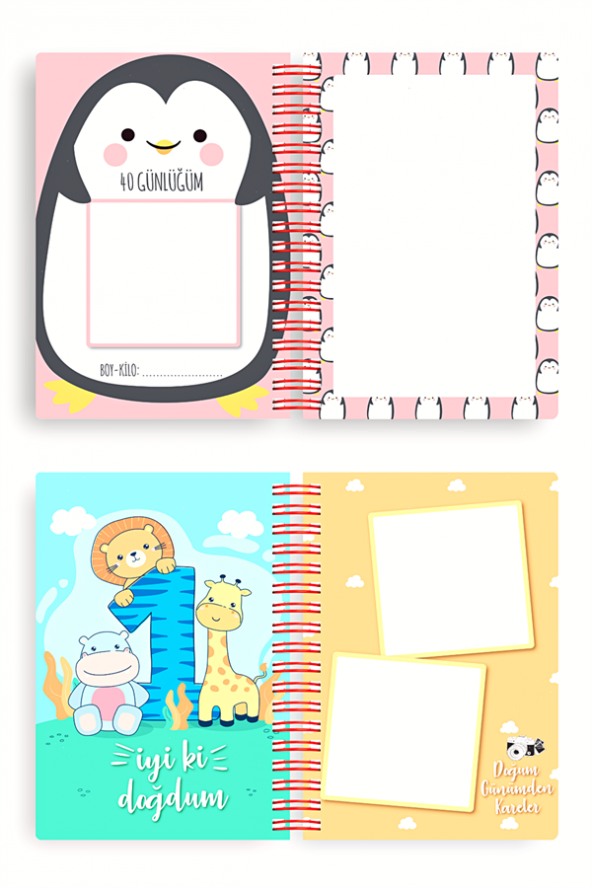 Bebek Anı Defteri ve Hamile Albümü Kız + Sticker - 8