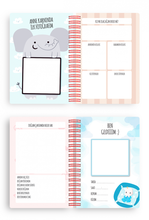 Bebek Anı Defteri ve Hamile Albümü Pembe + Sticker - 6