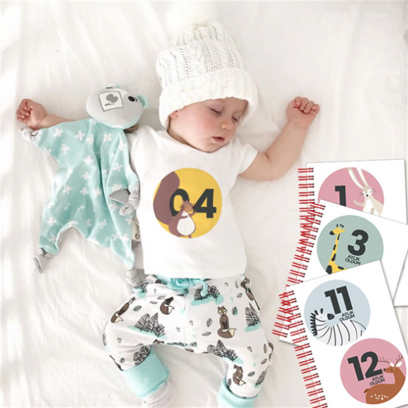 Bebek Anı Defteri ve Hamile Albümü Erkek + Sticker - 10