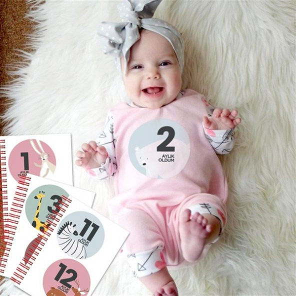 Bebek Anı Defteri ve Hamile Albümü Pembe + Sticker - 10