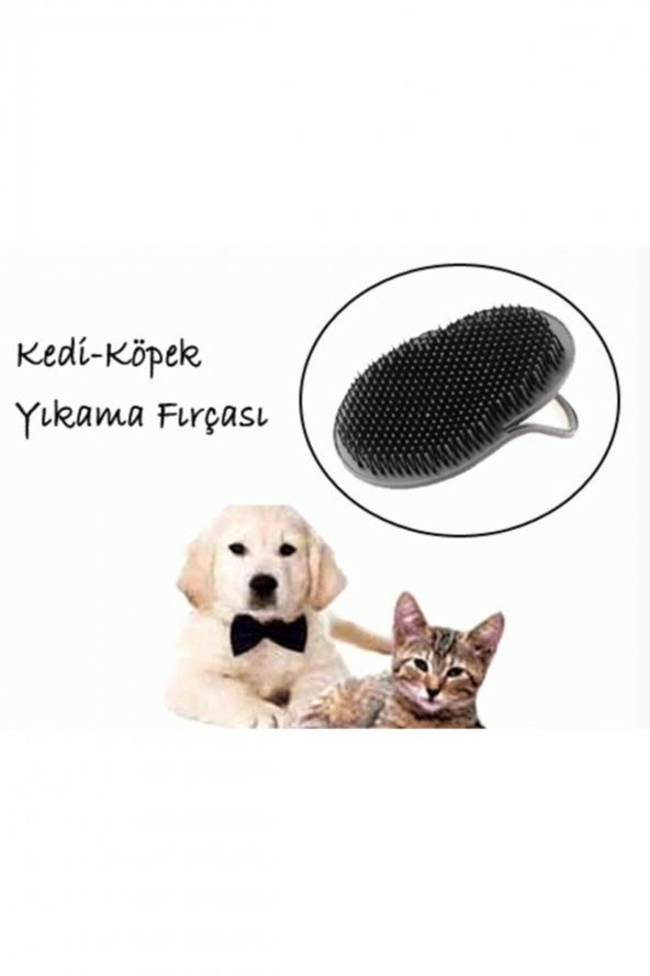 Kedi-köpek Yıkama Fırçası