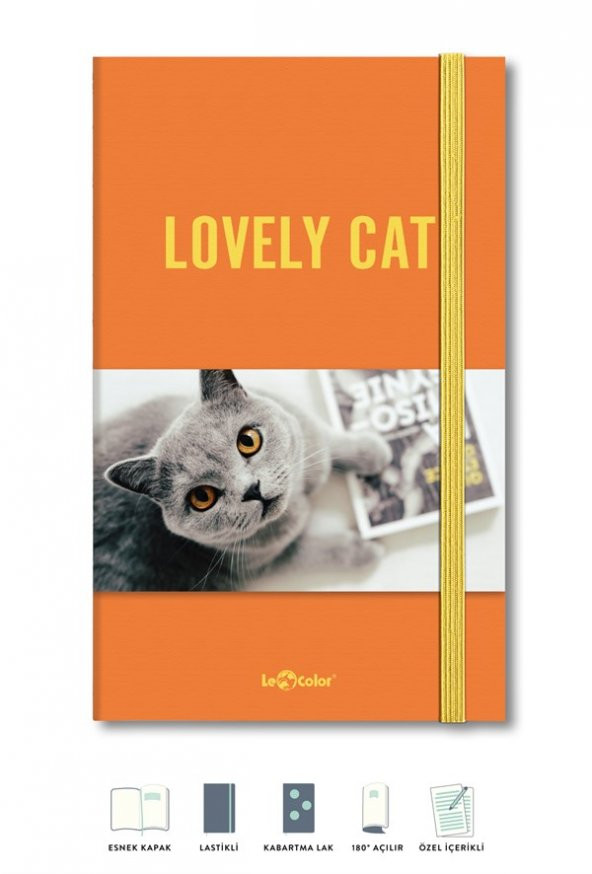 Kedi Dünyası Journal Düz - 2