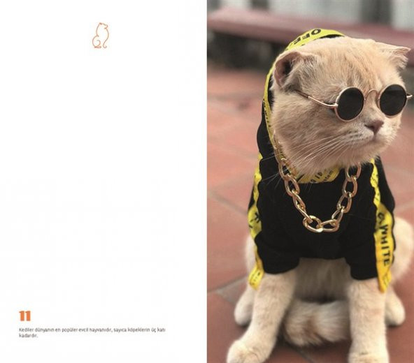 Kedi Dünyası Journal Düz - 4