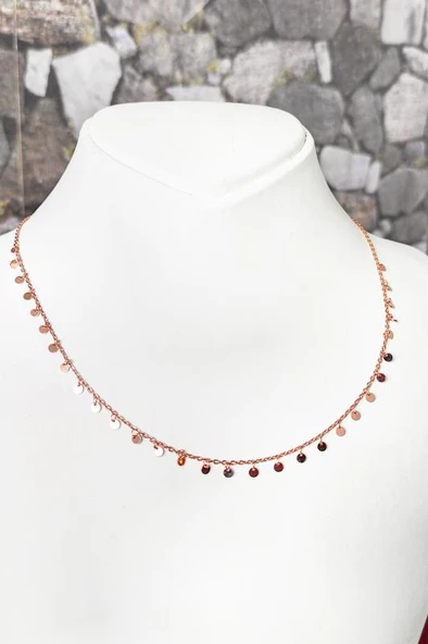 Sallanıtı Pullu Gümüş Kolye - 4