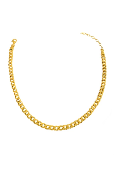 Taşsız Gümüş Gurmet Zincir Model Choker Kolye - Resim 3