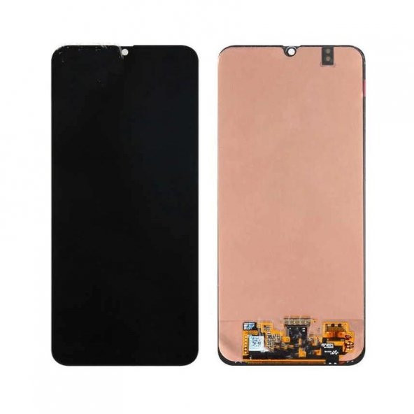 Hizli Mobil Samsung Galaxy M30S (SM-M307FN/DS) LCD REVİZE EKRAN - 1