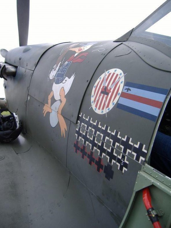 303 Squadron Polonya Hava Kuvvetleri Çok Renkli Plastik Aparat - 5