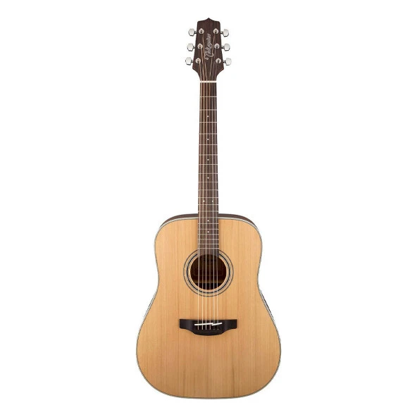 Takamine GD20-NS Akustik Gitar