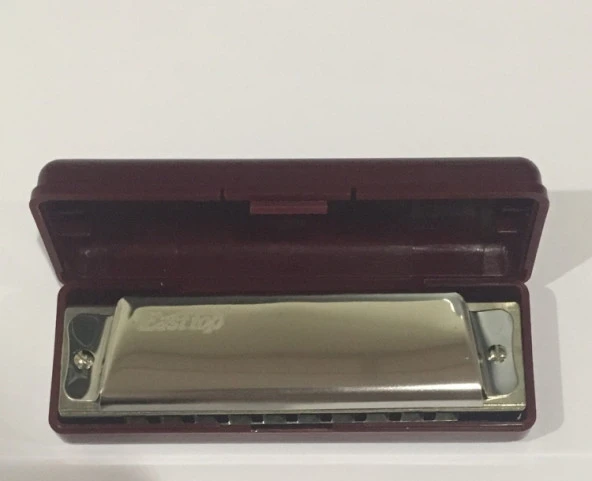 EAST TOP T10 Paslanmaz Çelik Gövde / 10 Delikli / Gümüş-Altın Renk Harmonica - 3