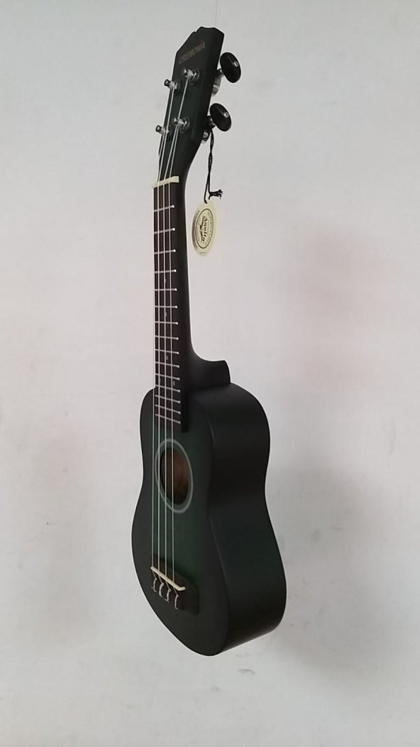 CREMONIA AU-H01A-21BL UKULELE 21" MAT MAVİ CREMONIA, AU-H01A-21BL, UKULELE 21" MAT MAVİ, IHLAMUR KAPAK ARKA VE YANLAR - Resim 3