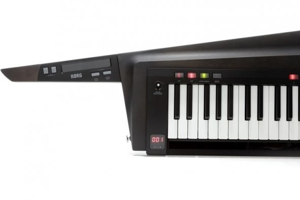 Korg RK-100S 2-BK - 2