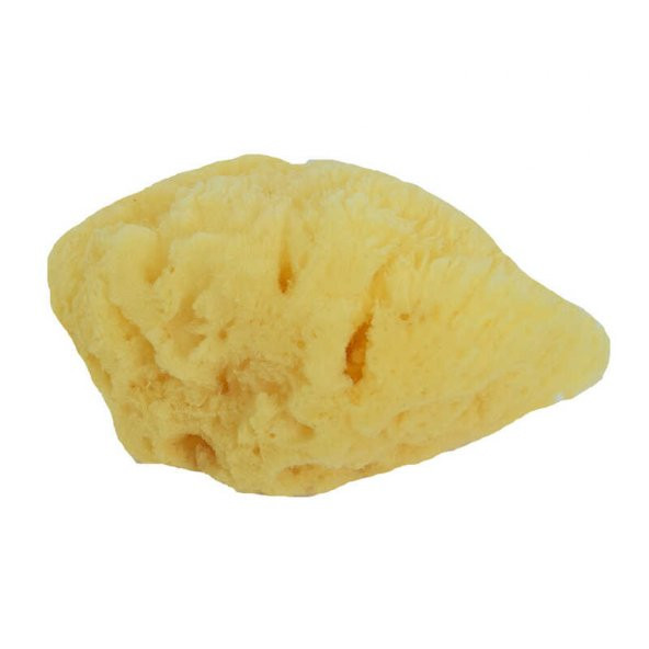 Deniz Süngeri Doğal 10 Gr Paket - Resim 2