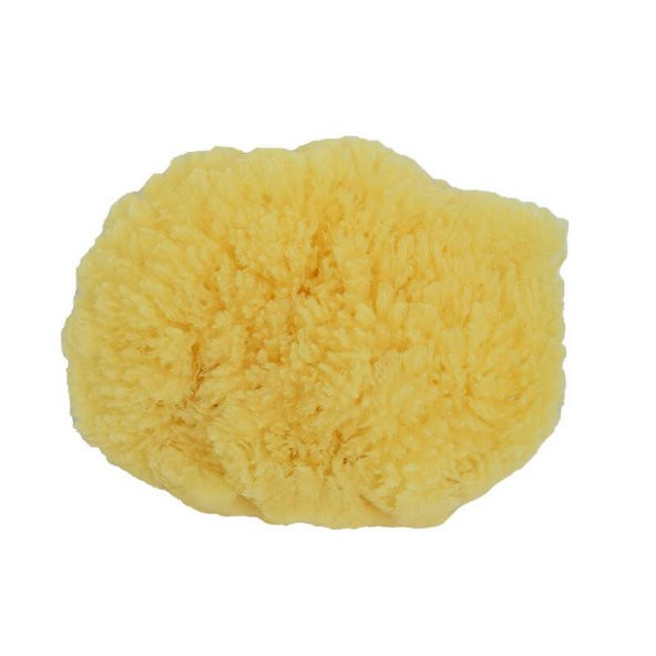 Deniz Süngeri Doğal 10 Gr Paket - Resim 4