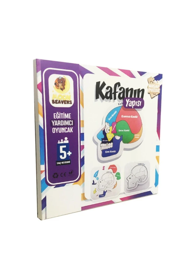 Moon Beavers Kafanın Yapısı Eğitici Öğretici Geliştirici Ahşap Sağlıklı Oyuncak 20x20 Cm - 2