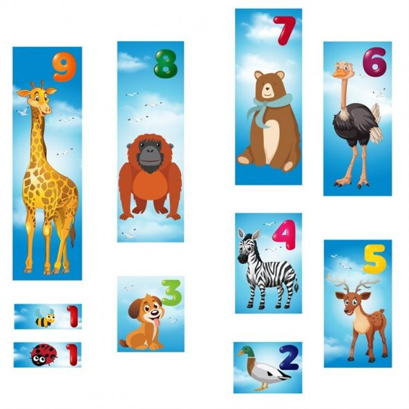 Math Forest Matematik Oyunu Eğitim Dizayn - 2