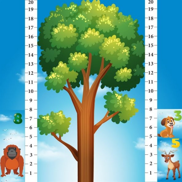 Math Forest Matematik Oyunu Eğitim Dizayn - 3