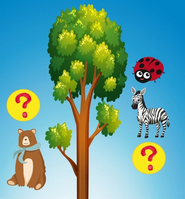 Math Forest Matematik Oyunu Eğitim Dizayn - 4