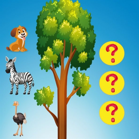 Math Forest Matematik Oyunu Eğitim Dizayn - 5