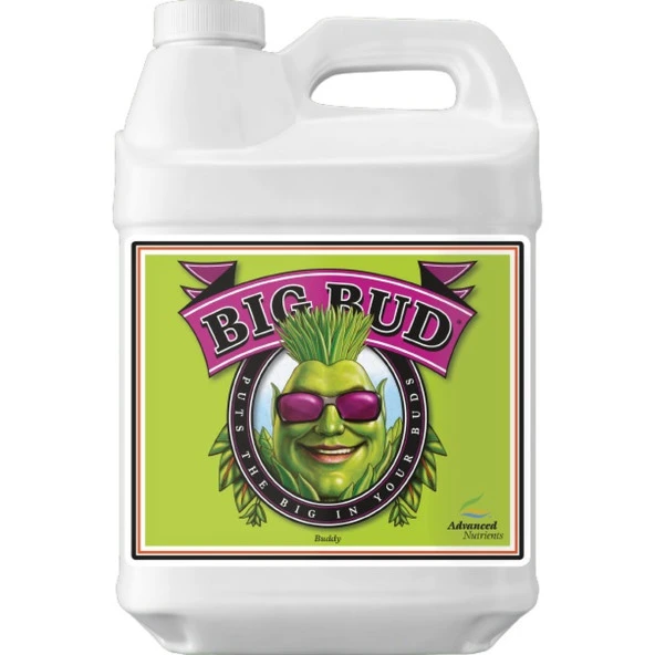 Advanced Nutrients Big Bud 250 ml